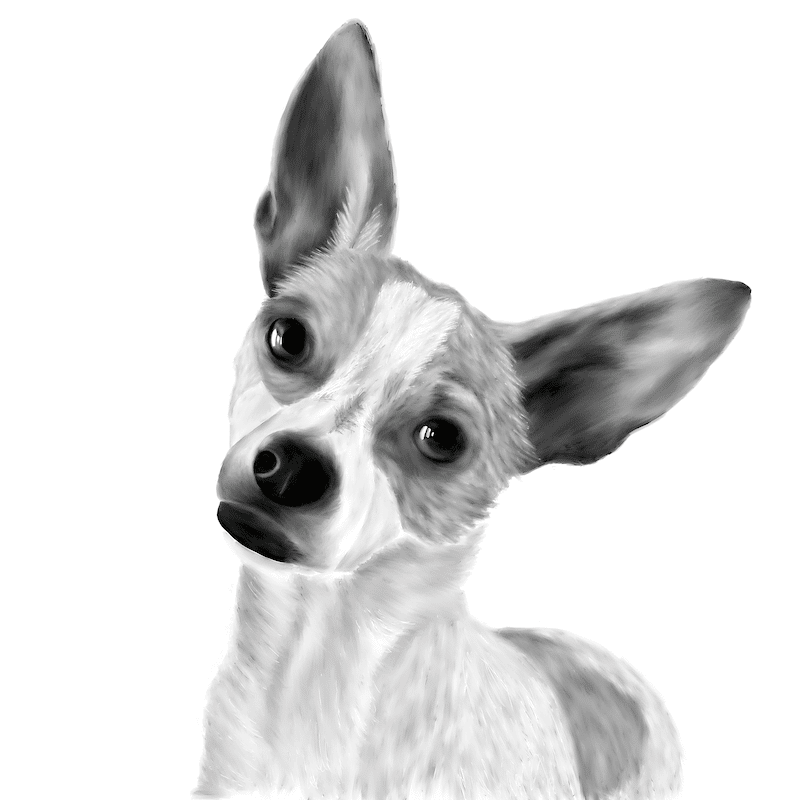 procreate drawing of dog