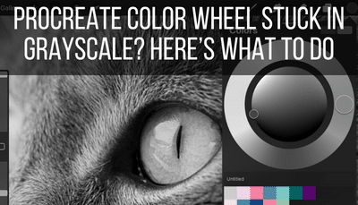 procreate color wheel stuck in grayscale