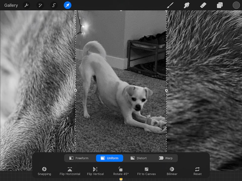 importing an image into Procreate with a grayscale color profile design