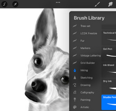 procreate dog drawing with eraser brush library