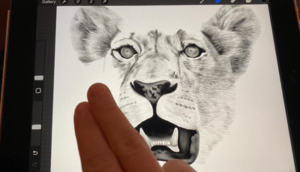 undo gesture on procreate with drawing of a lion