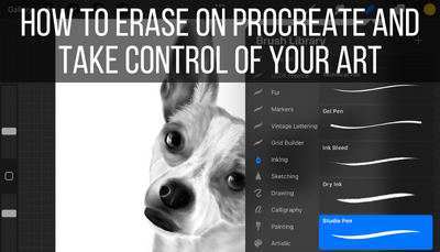 How to Erase on Procreate and Take Control of Your Art