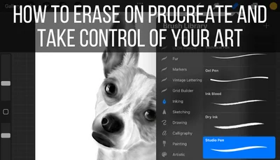 How to Erase on Procreate and Take Control of Your Art