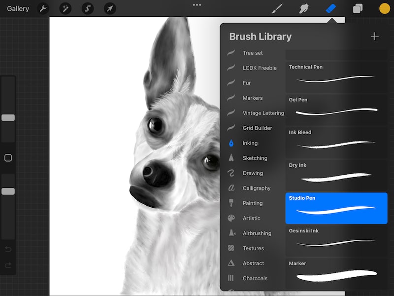 procreate brush library with eraser