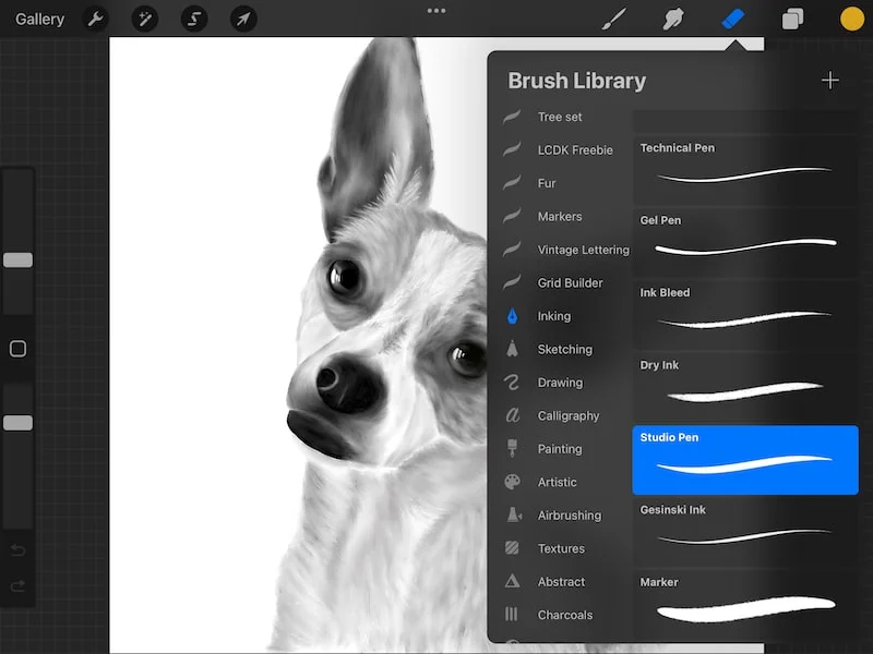 procreate brush library with eraser