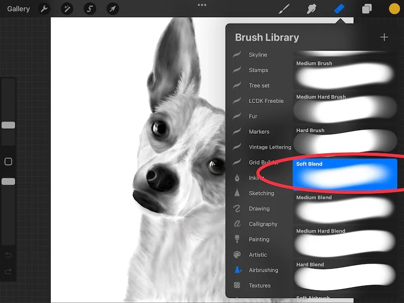 procreate eraser with the soft airbrush