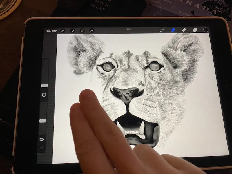 two finger undo gesture in procreate