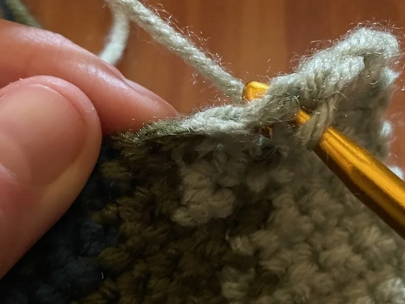 crochet hook pulling yarn through stitch