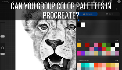 Can You Group Color Palettes in Procreate?