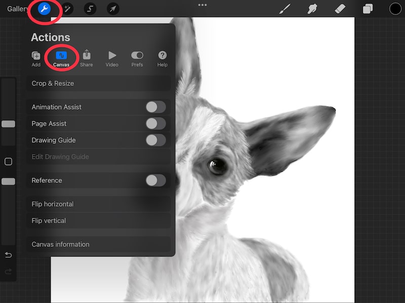 procreate actions and canvas menu