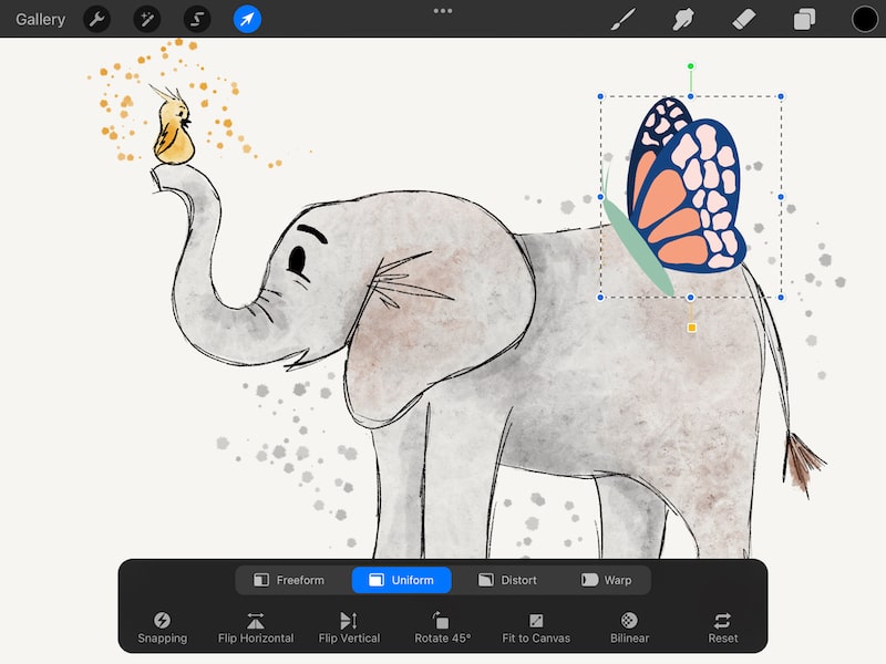procreate butterfly pasted into elephant and bird procreate drawing