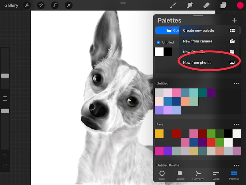procreate create color palette from image