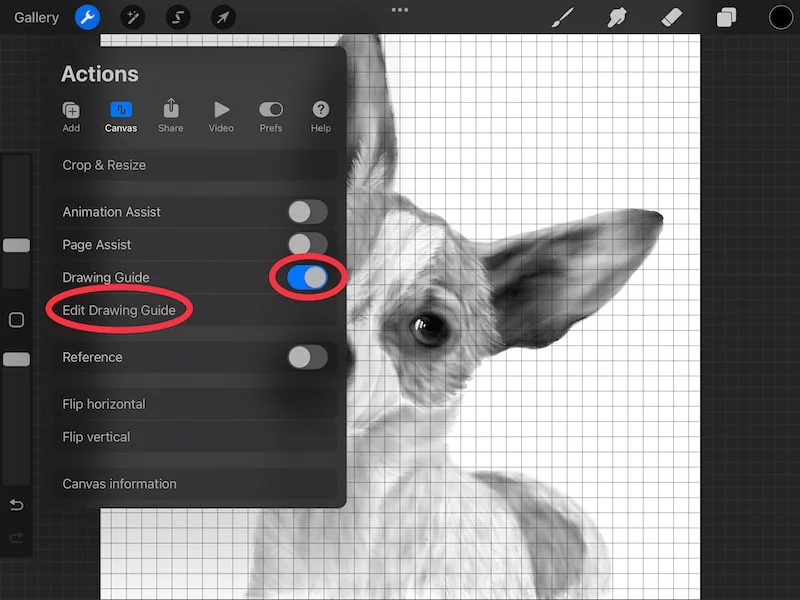 procreate drawign guides toggle and edit drawing guide