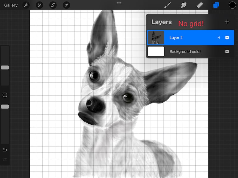procreate grid not a layer