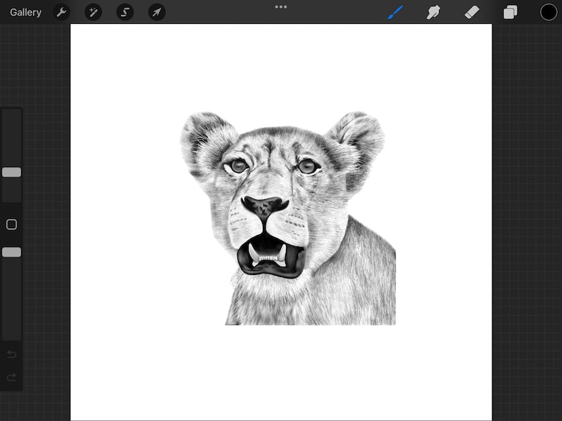 procreate lion drawing