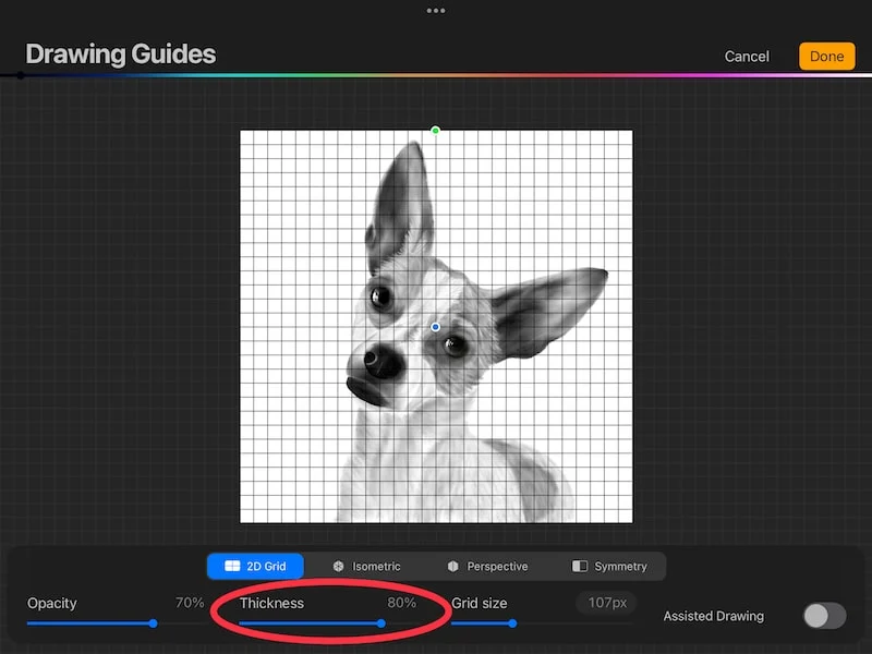 procreate thickness grid slider