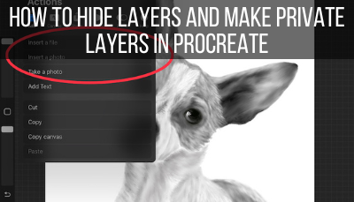 How to Hide Layers and Make Private Layers in Procreate