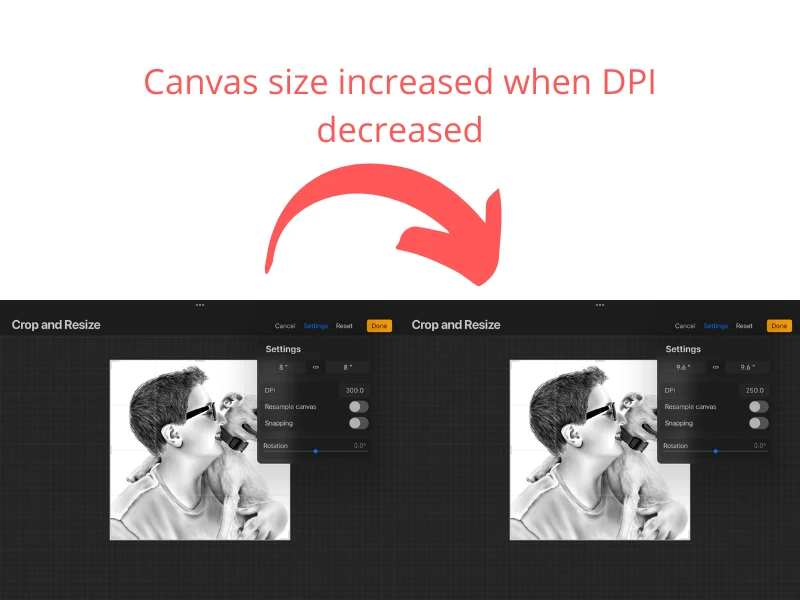 procreate canvas size after DPI change