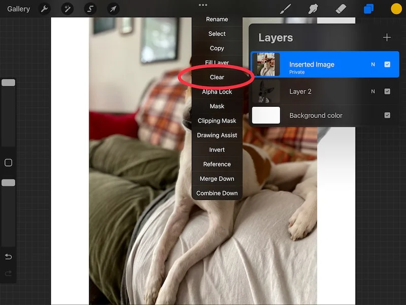 procreate clearing a private layer