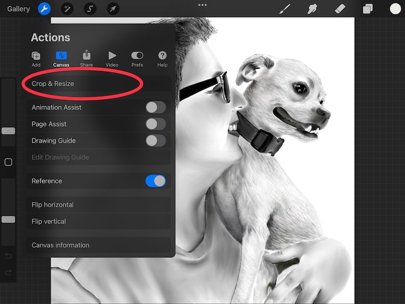 procreate crop and resize button