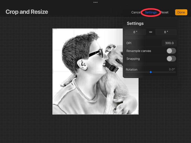 procreate crop and resize settings button