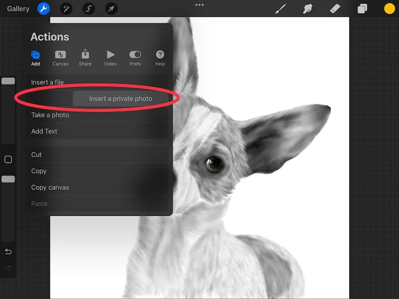 procreate insert a private photo
