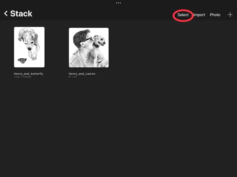 procreate select button