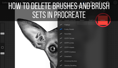 How to Delete Brushes and Brush Sets in Procreate