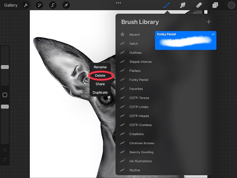 procreate brush set delete button