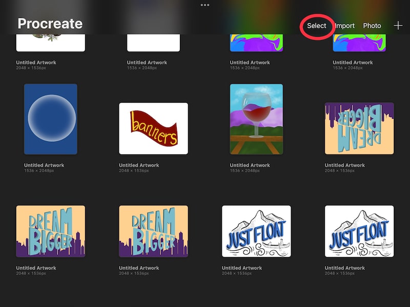 Procreate gallery select button