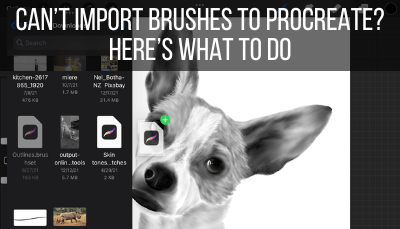 Can’t Import Brushes to Procreate? Here’s What to Do