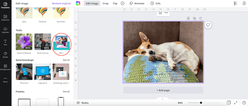 blur option for image in canva