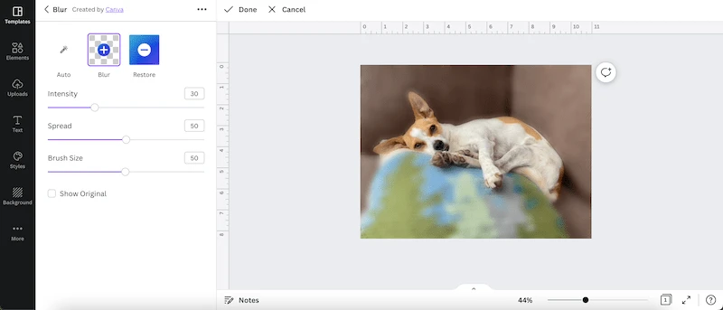 canva image blurred with blur brush