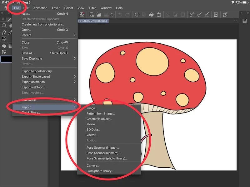 clip studio paint import options