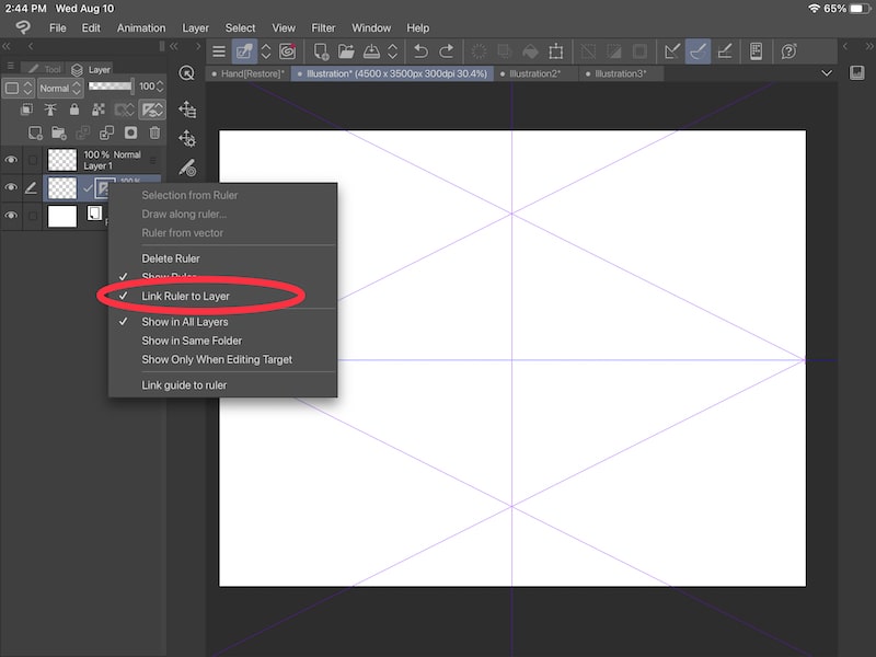 clip studio paint link ruler to layer setting