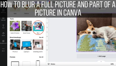 How to Blur a Full Picture and Part of a Picture in Canva