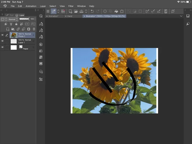 sunflower image clip paint studio