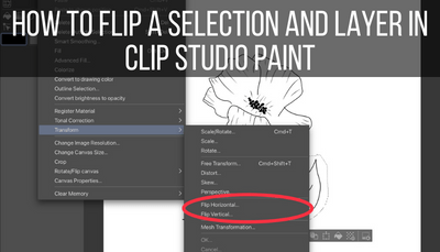 How to Flip a Selection and Layer in Clip Studio Paint