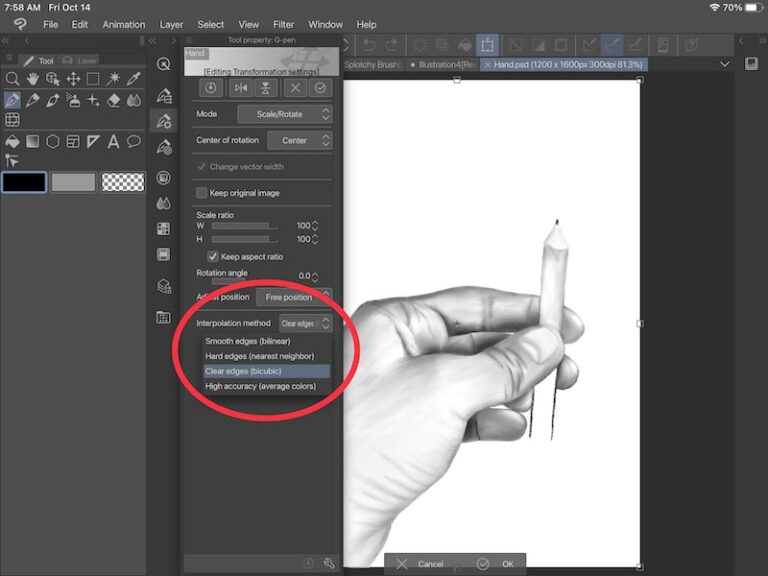 How to Limit Quality Loss When Resizing in Clip Studio Paint ...