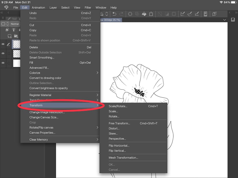 clip studio paint transformation button edit menu
