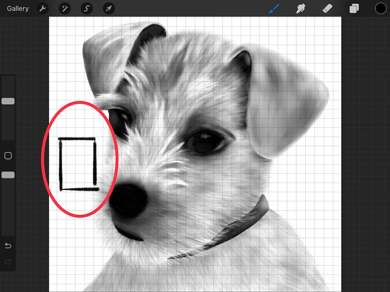 procreate 2D grid assisted drawing square