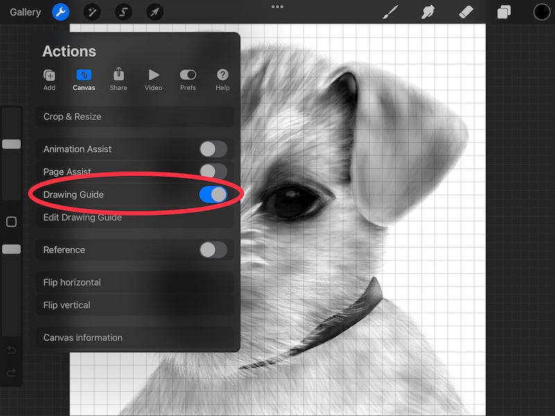 procreate drawing guide toggle