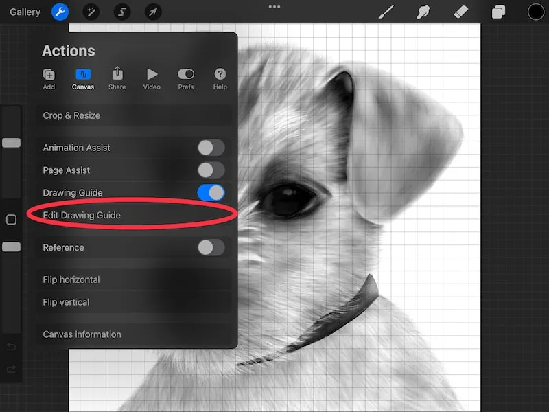 procreate edit drawing guide