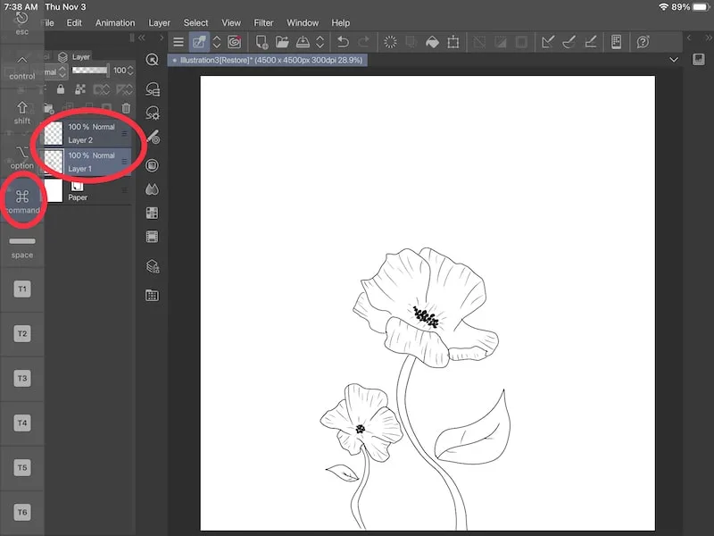 clip studio paint layer selected