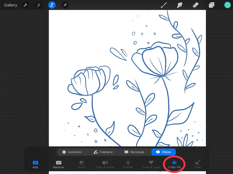 procreate color fill selection tool flower drawing