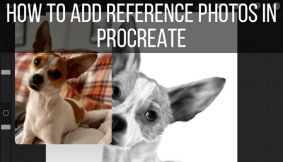 How to Add Reference Photos in Procreate