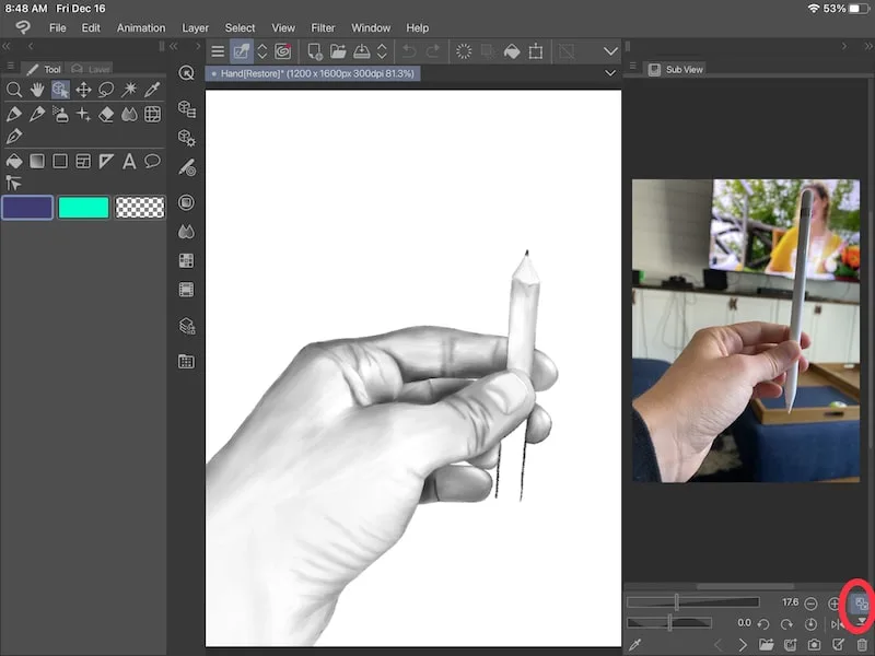 clip studio paint fit to navigator reference photo