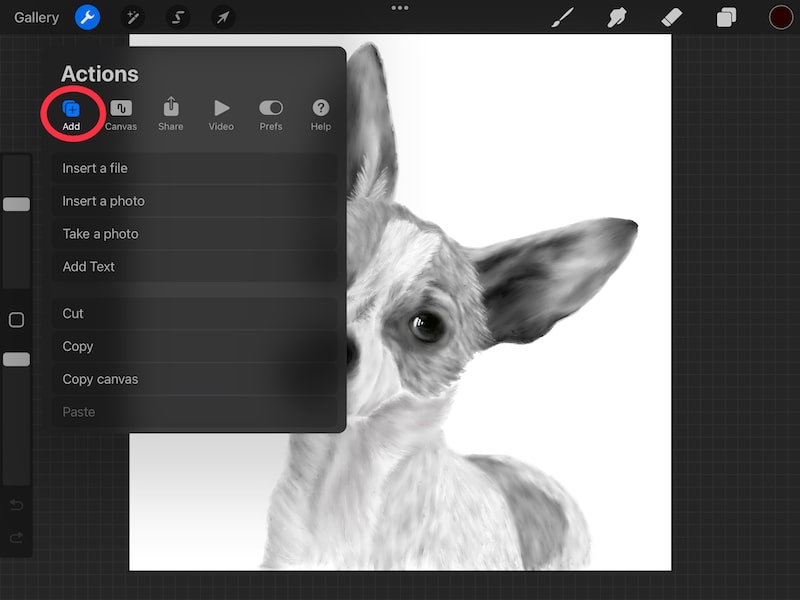 procreate actions menu add menu dog drawing