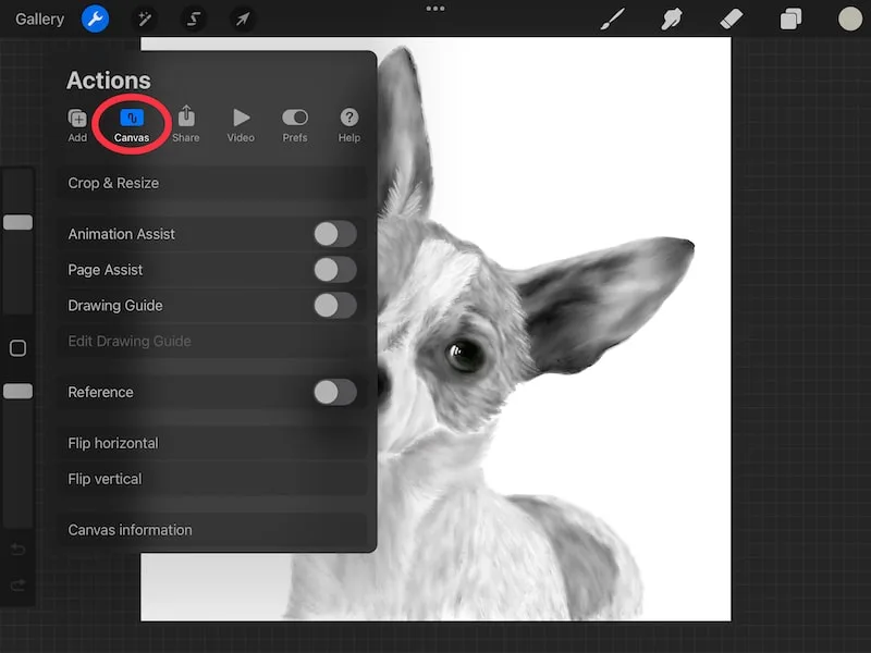 procreate actions menu canvas menu dog drawing