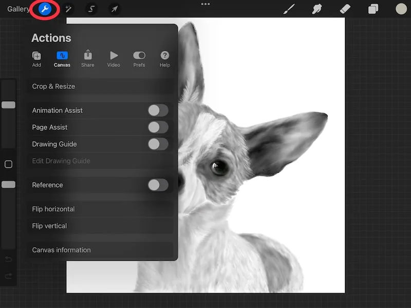 How to Add Reference Photos in Procreate - Adventures with Art
